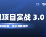 “虚拟项目实战3.0，打造自动盈利店铺，可长期操作投入低，新手也能操作”