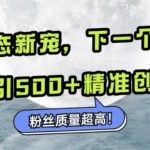 “微信生态新宠小绿书：下一个流量洼地，日引500+精准创业粉，粉丝质量超高”