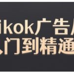 “Tiktok Ads实操教程，Tiktok广告从入门到精通”