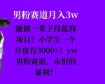 “能做一辈子的蓝海项目？小学生一个月也有3000+，yw男粉赛道，永恒的暴利”