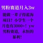 “能做一辈子的蓝海项目？小学生一个月也有3000+，yw男粉赛道，永恒的暴利”