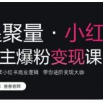 “小红书博主爆粉变现课，深入解读小红书商业逻辑，带你进阶变现大咖”