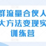 “社群流量合伙人，三大方法变现实战训练营