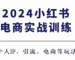 “2024小红书电商3.0实战训练，包含个人IP、引流、电商等玩法”