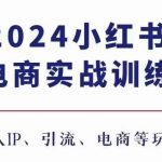 “2024小红书电商3.0实战训练，包含个人IP、引流、电商等玩法”