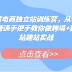 “跨境电商独立站训练营，从小白到精通手把手教你做跨境+独立站建站实战”