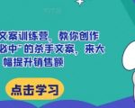 “AI杀手文案训练营，教你创作出“一击必中”的杀手文案，来大幅提升销售额”