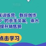 “AI杀手文案训练营，教你创作出“一击必中”的杀手文案，来大幅提升销售额”