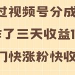 “视频号分成计划操作了三天收益1740元 这类视频很好做，热门快涨粉快收益高【揭秘】”