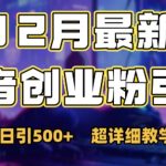 “最新公开：12月份抖音日引500+创业粉秘籍”