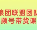 “狼团联盟2024视频号带货，0基础小白快速入局视频号”
