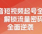 “抖音短视频起号全流程，解锁流量密码，全面逆袭”